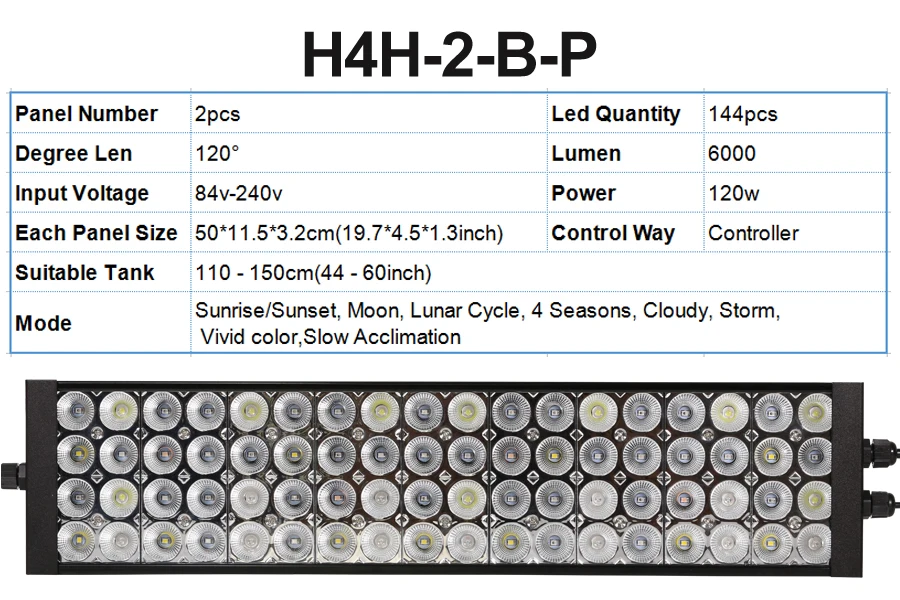 H4-2-P