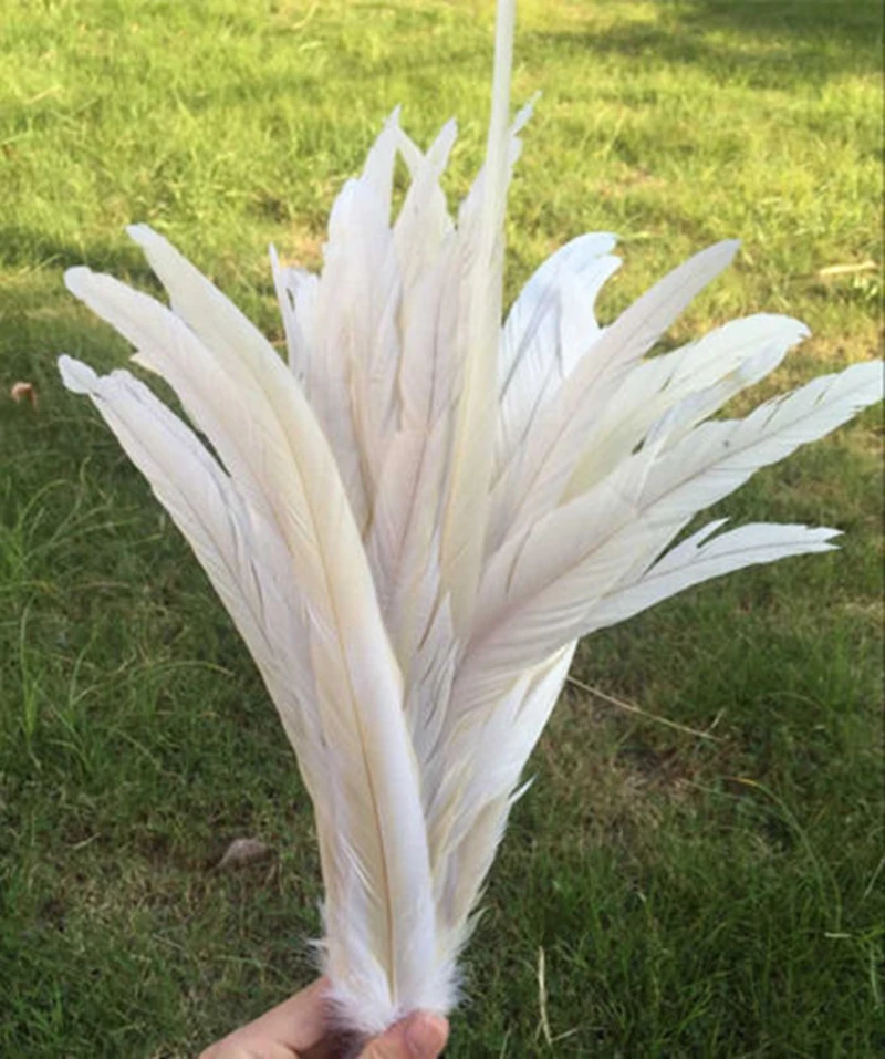 EMS 500 шт./лот разных цветов с перьями из хвоста петуха; большие размеры 35-40 см 14-16 дюймов Куриные перья coque перо
