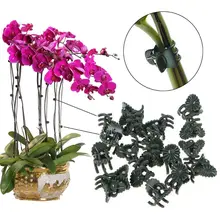20 pçs plástico planta fix clipes orquídea haste videira suporte legumes fazenda flores frutas amarrado pacote ramo aperto ferramenta de jardinagem