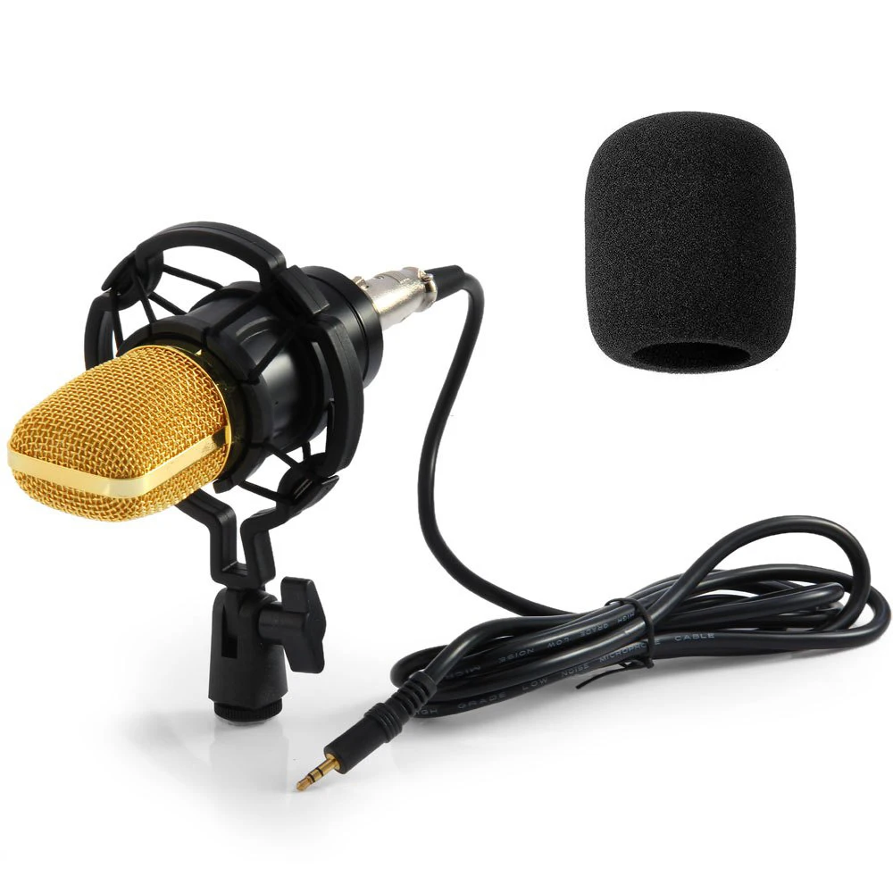 BM 700 Condenser Microphone 4
