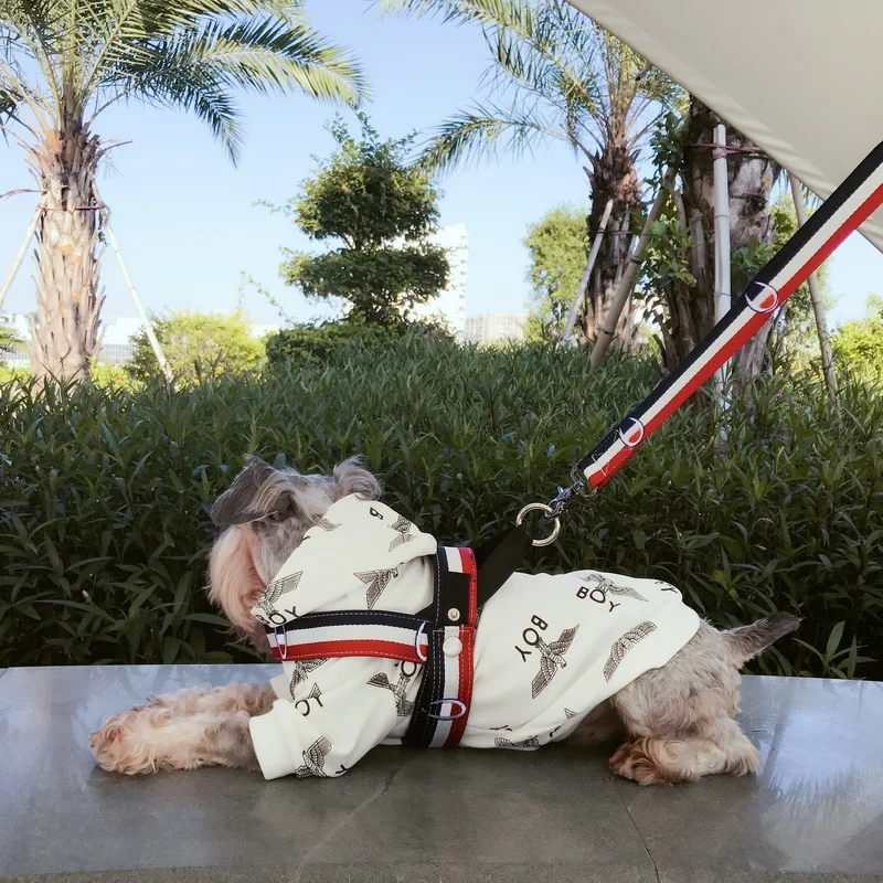 

New Arrival Fashion Adjustable Nylon Cat Dog Harness Vest Leather Protect Professional Small Dog Cat Harness Collar Leash