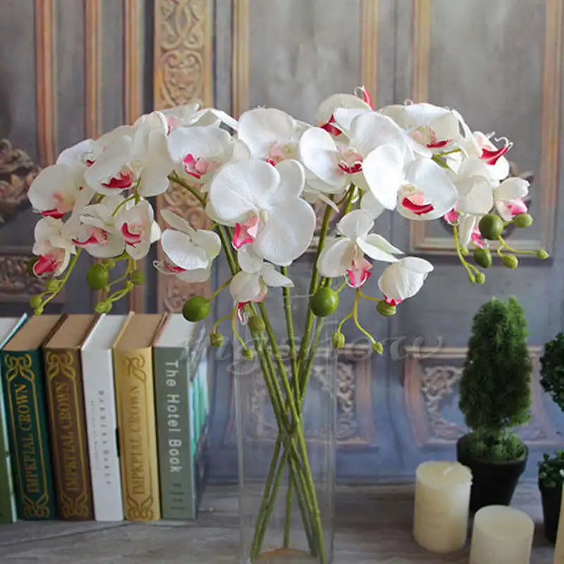 Popular Decorative Orchid PotsBuy Cheap Decorative Orchid Pots lots