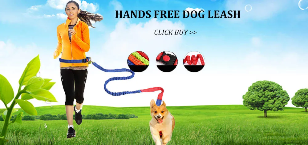 Hands free dog leash