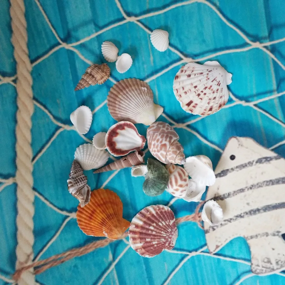 Морская ракушка, натуральная морская звезда, морская раковина, 100 г, модное украшение, пляжная мода, ракушки для поделок, Декор