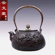 1.1л южная часть Японии оксидированный чугун без покрытия Ретро чайник чайный набор кунг-фу чайник