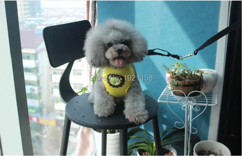 B15_2016_Pet_Dog_Vest_Harness_Collars_Mesh_Breathable_Puppy_dog_Cat_Leash_Adjustable_Chest_Braces_leads_Clothes_Teddy_Chuhuahua_4