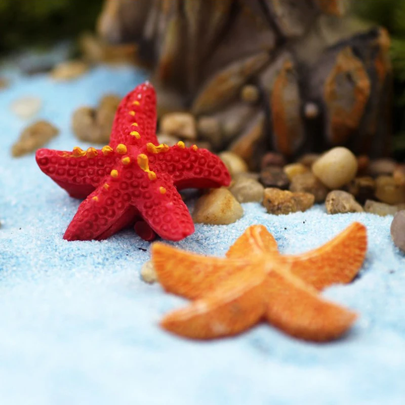 

Figurine Mediterranean Style Microlandscape 1PC Creative 2Colors MINI Terrarium Ornament Starfish Bonsai DIY Garden Decoration