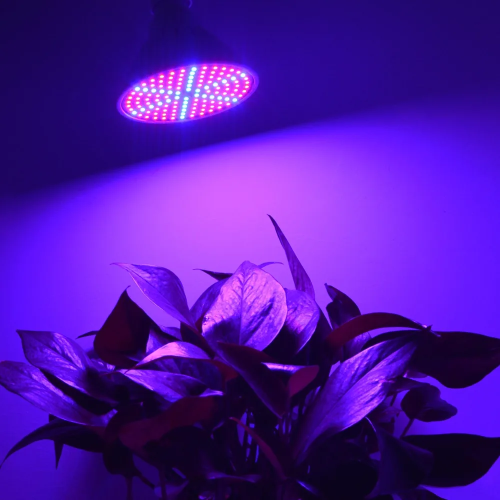 Led plant lights. Синяя лампа для растений. Лампы с синим спектром. Фиолетовый свет для растений. Цветы в лампочке.