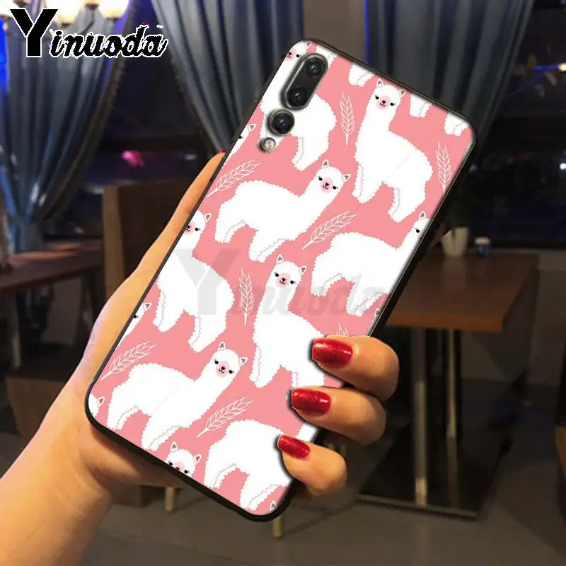 cow alpaca zebra giraffe