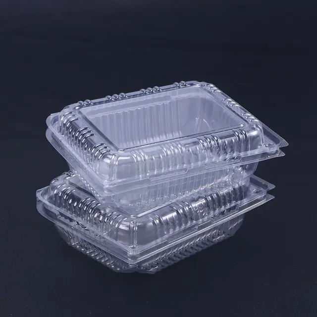 30pcs Disposable Transparent Hinged Lid Plastic Takeout Food Containers