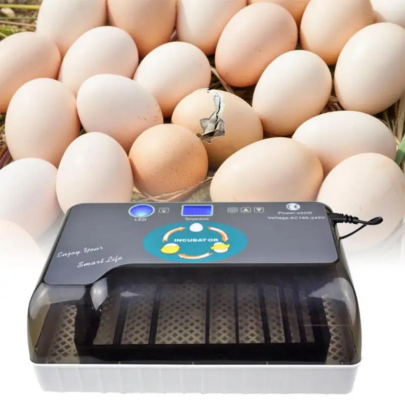 

Farm Hatchery Machine Chicken Automatic Egg Incubator Hatcher Quail Brooder