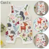 Girls' Baby Clothing