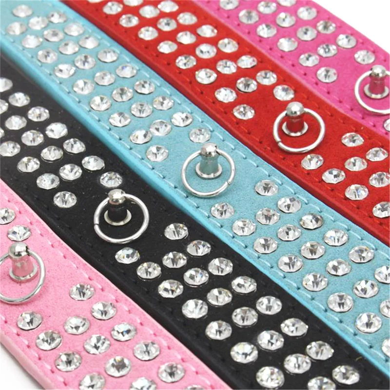10 puppy collar 