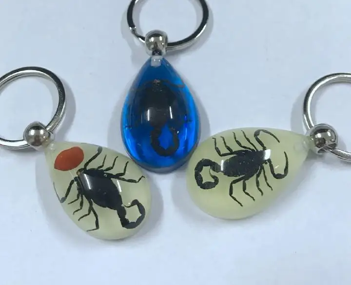 12 pcs KeyChain Scorpion Design Specimens Magic Jewelry