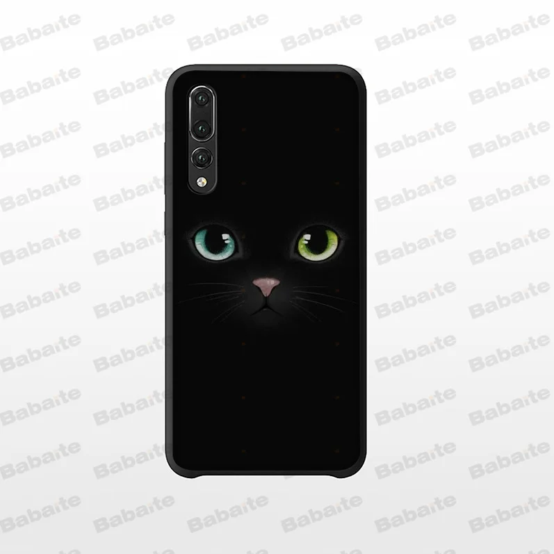 Black Cat Staring Eye