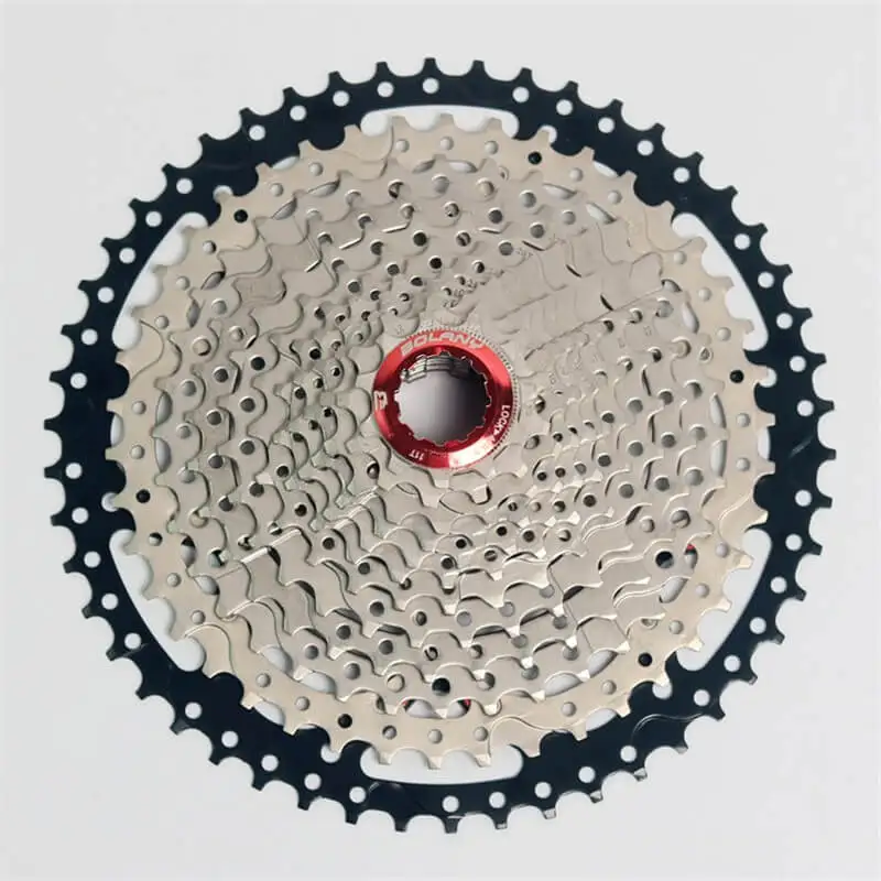 12 speed freewheel