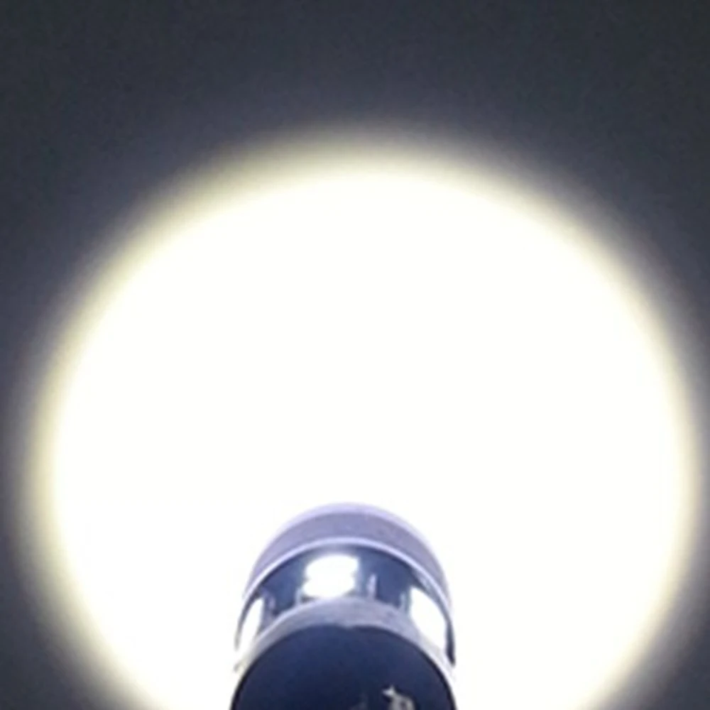 AM-CL-116 (3)