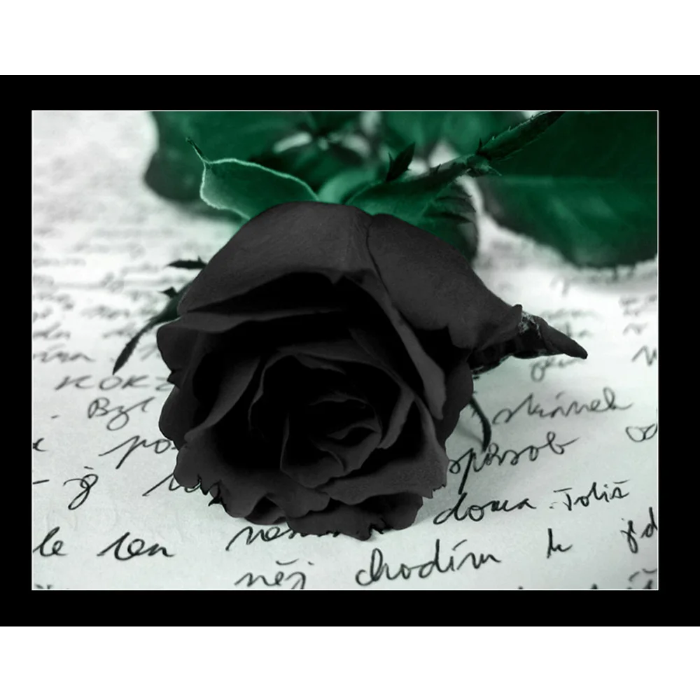 

Diamond Embroidery 5d diamond painting black Rose cross stitch icons mosaic rhinestones Indoor decorations Flowers H1181