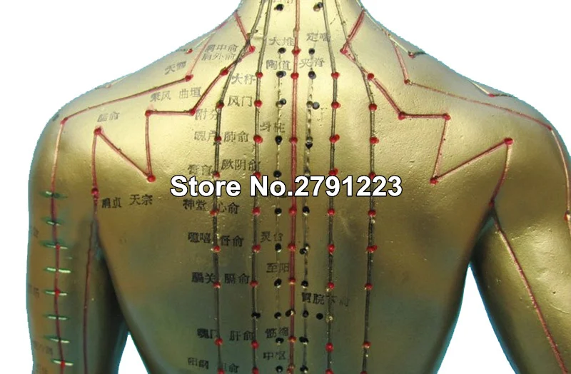 Меридиан модель человека акупунктурная точка модель человеческого тела 50 см медицинские образовательные приборы Мужской 1 шт