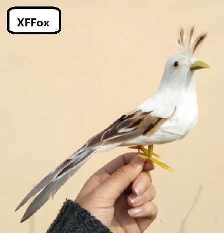 HTB1EDjwRXXXXXbaaFXXq6xXFXXXq