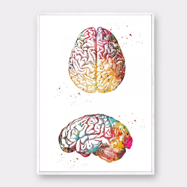 Watercolor ART Brain Illustration poster Canvas Art Print Wall Pictures