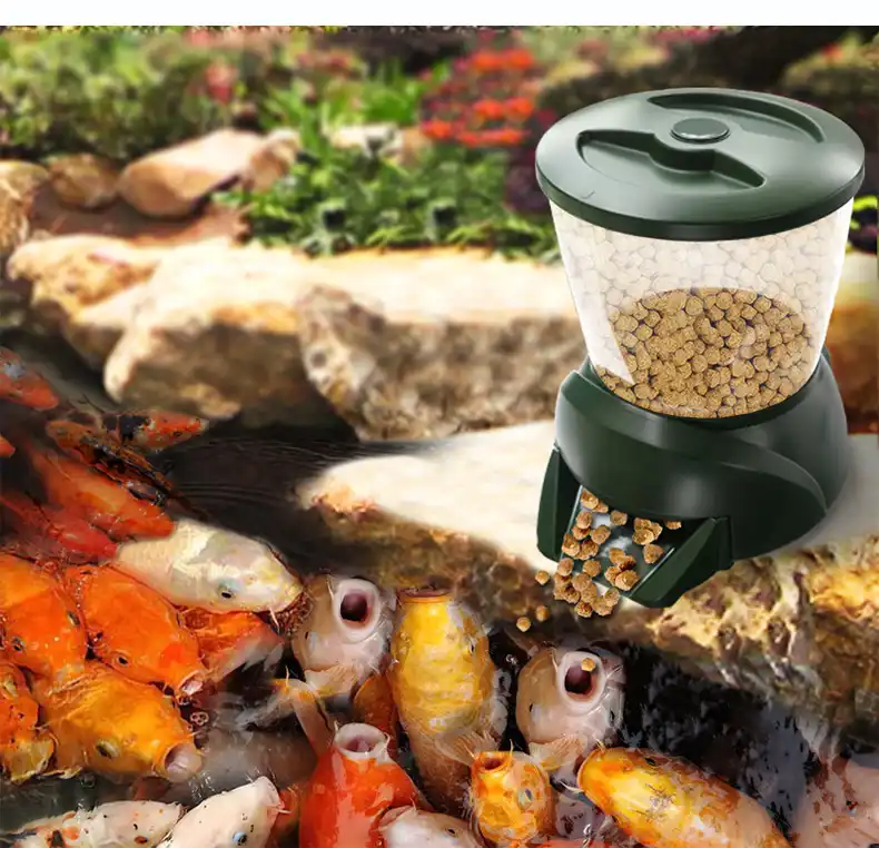 Large Scale Automatic Timing Fish Feeder In Fish Pond Large