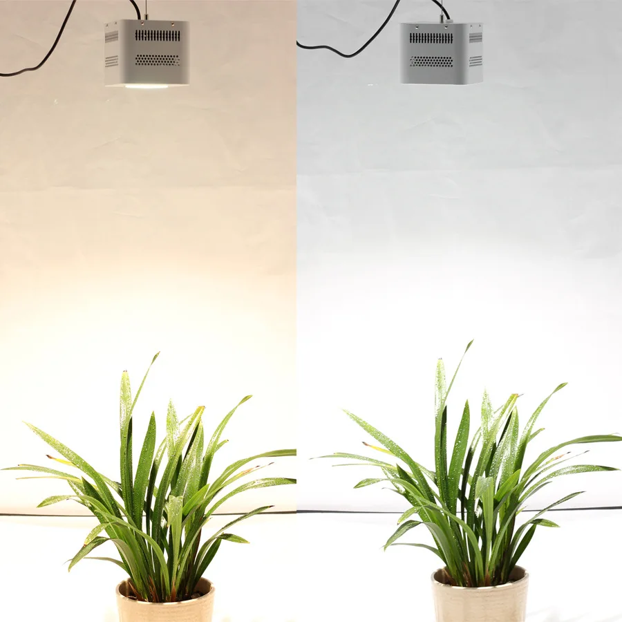 Кри УДАРА CXA3070 светодиодный растут огни полный спектр Fitolamp гидропоники Фито лампы для цветов саженцы парниковых комнатных растений