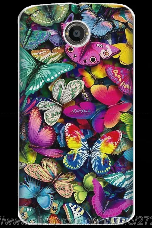 butterfly2