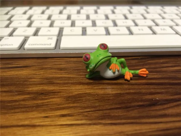 Cute Frog Mini figure PVC toy home office cake car decoration - Customer Showcase 1