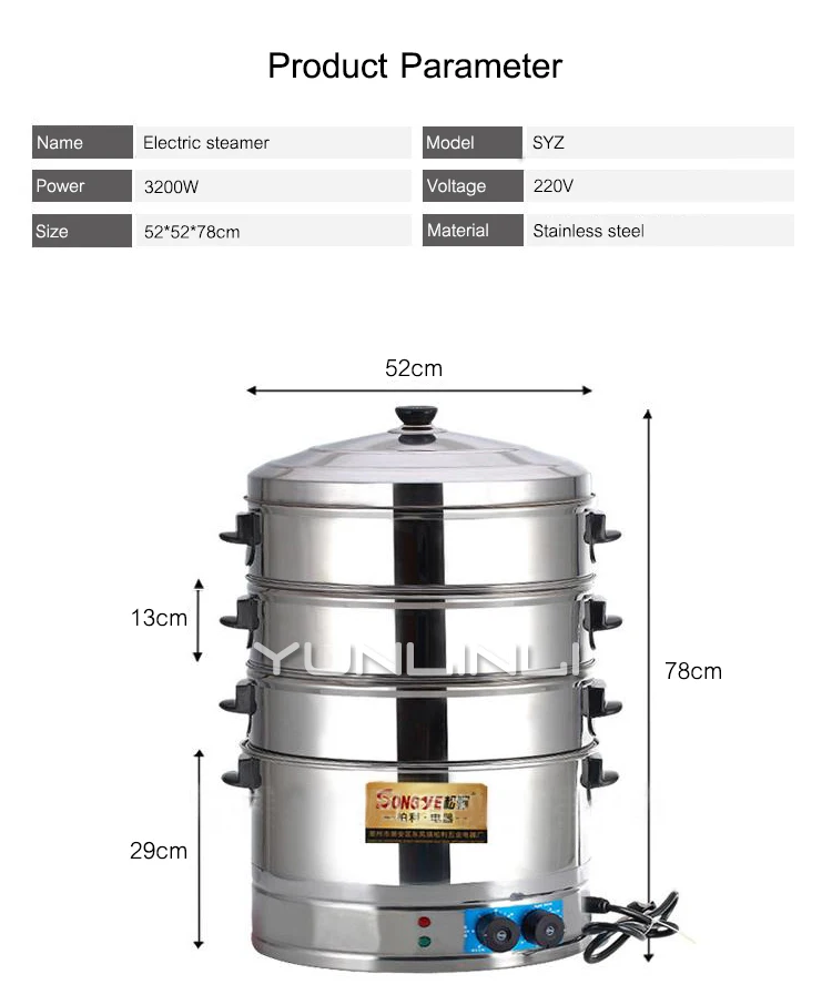 hannex electric steamer