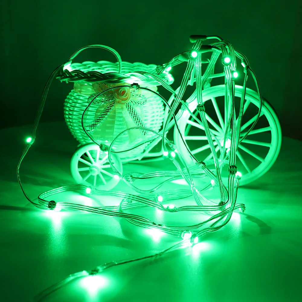 WS2812 Light String L844 (13)