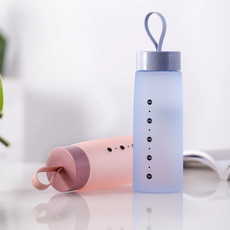 Fashion Plastic Water Bottle 500ml Travel Sport Bottle BPA Free Kids Children School Drinking Bottles My Drink Bottle For Water (2)