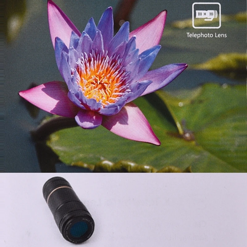 IP7G1387_7