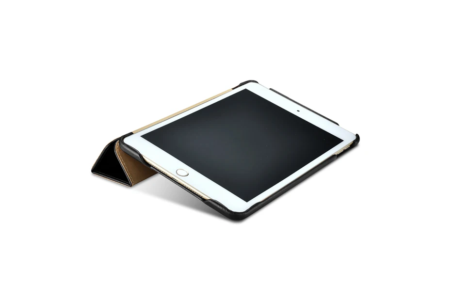 iPad mini 5  Vintage Series(2019)-015