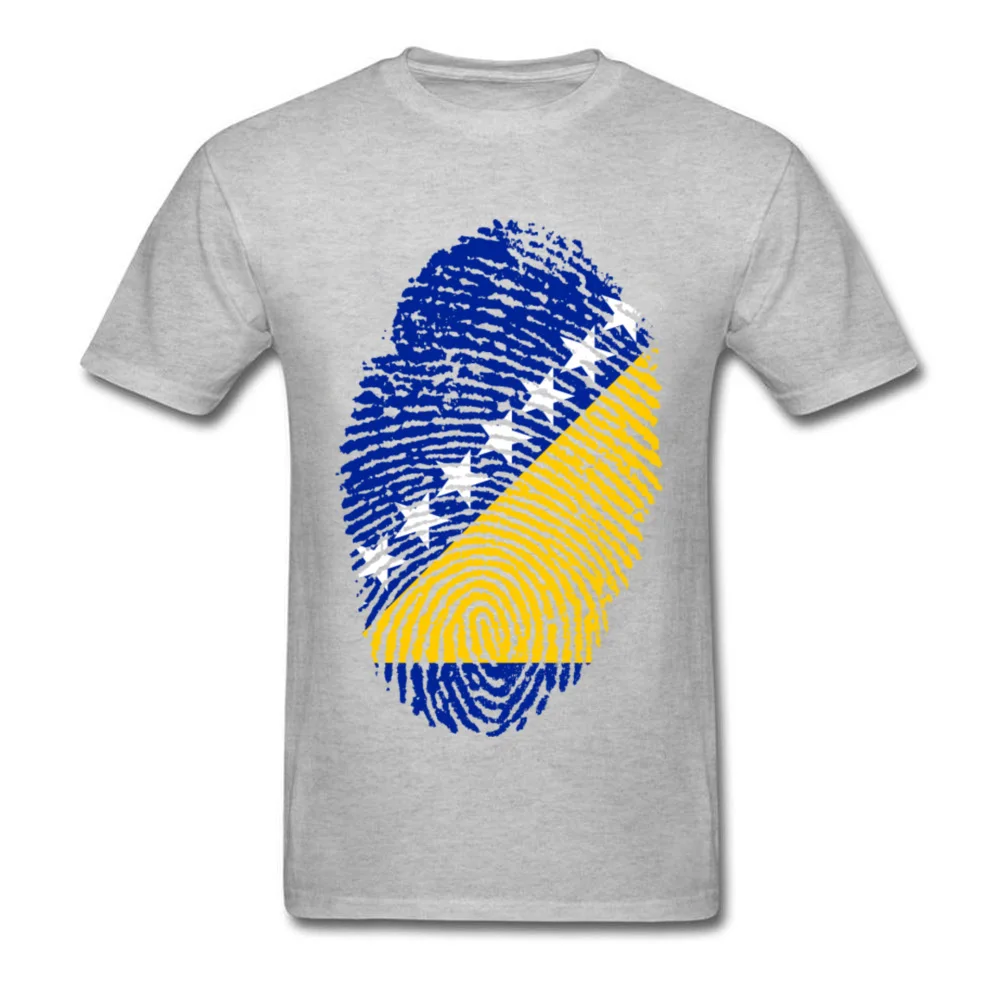 Bosnia and H. Flag Fingerprint_grey