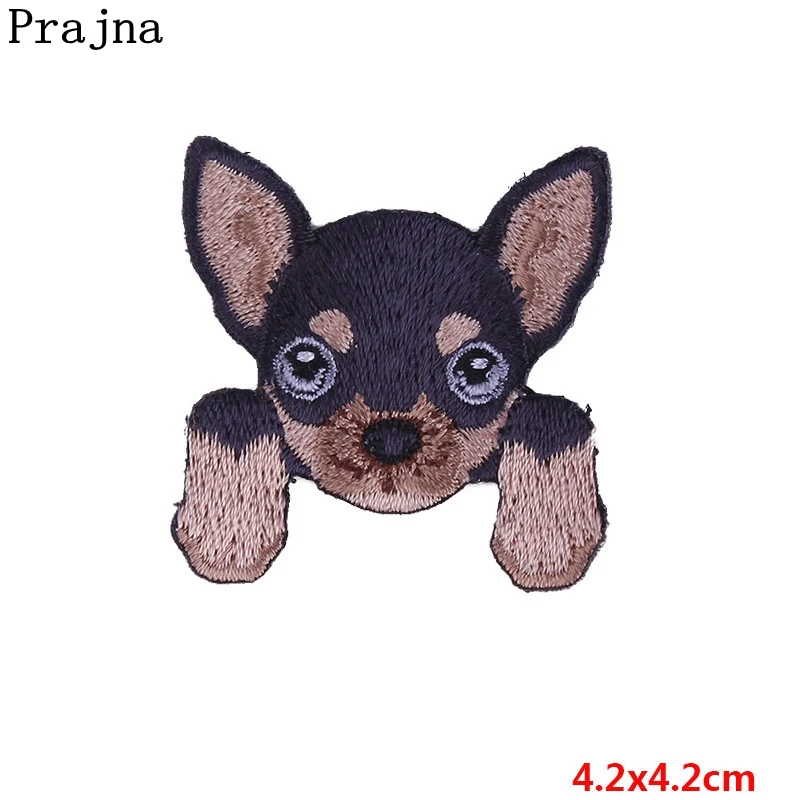 PE2227CT