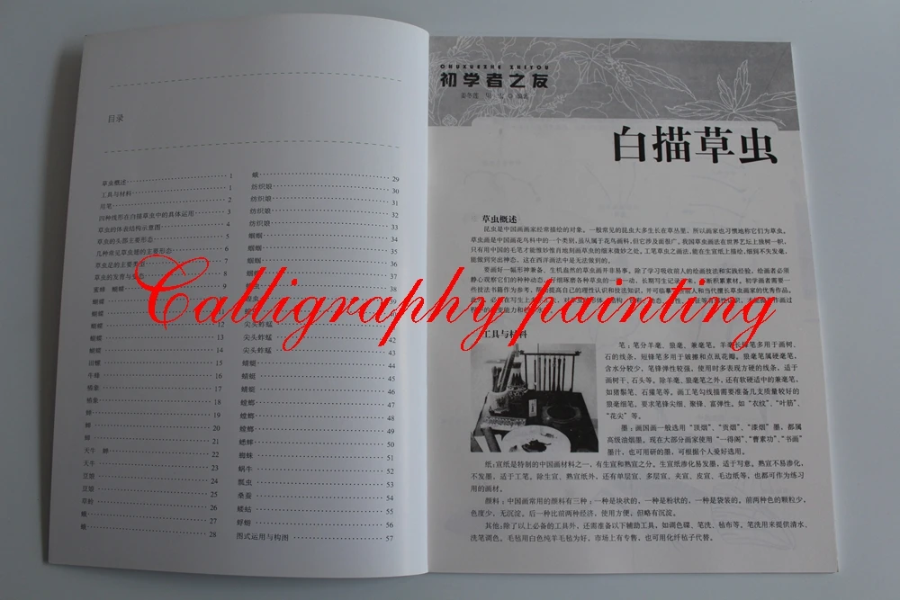 Butterfly Insect Dragonfly Chinese Painting Sketch Outline Reference Book Butterfly Insect Dragonfly Chinese Painting Sketch Outline Reference Book
