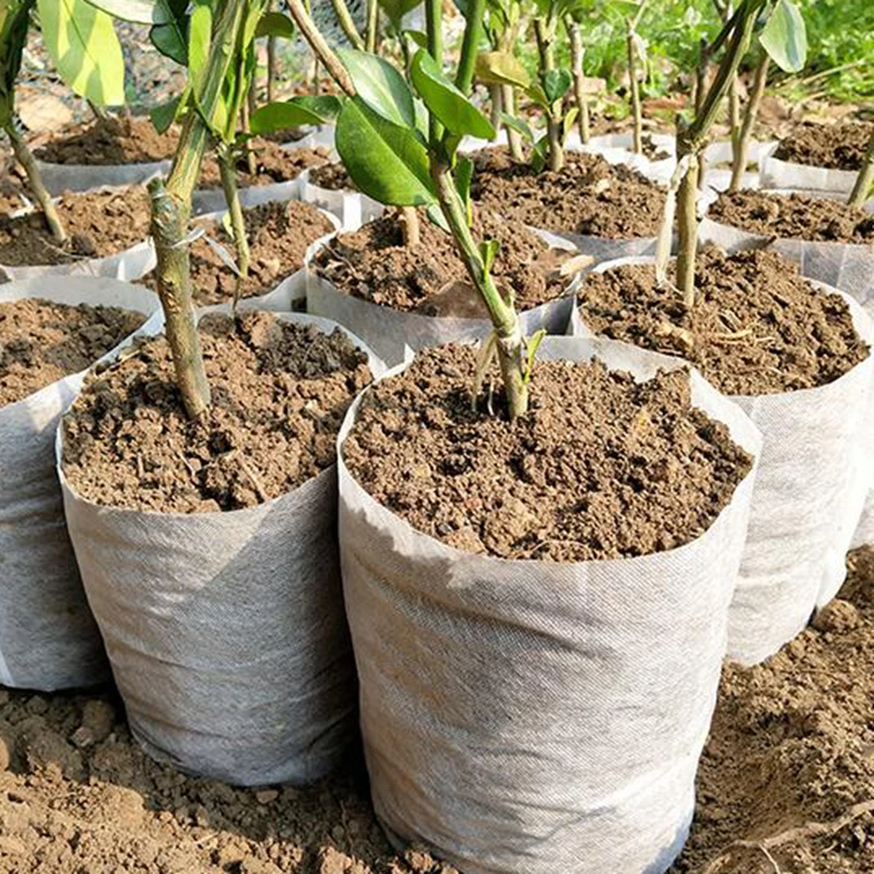 50pcs 16*20cm Nursery Seeding Special Non-Woven Nursery Bags Nutrition Bags, Water Saving And Drought Resistance