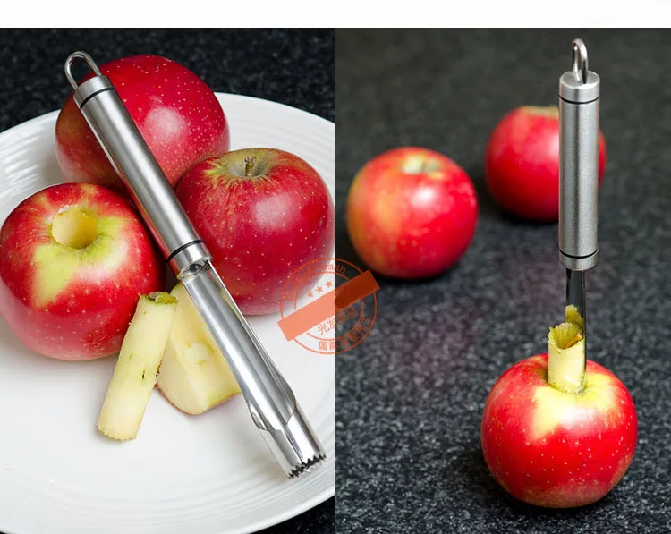 Stainless Steel Apple Corer Remover Makes Coring Fruit Corer Removerin