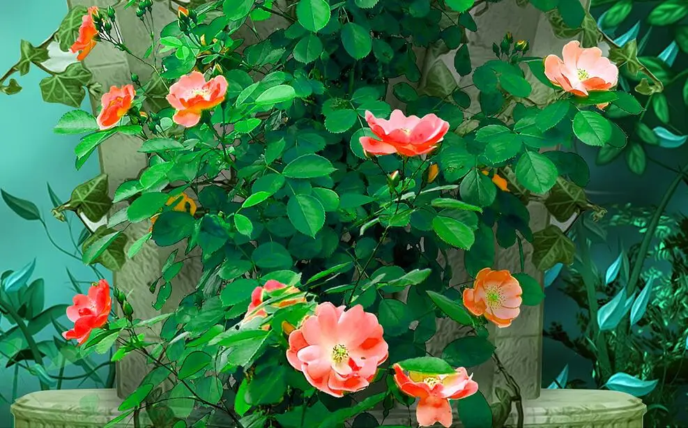 QQ20180623002058