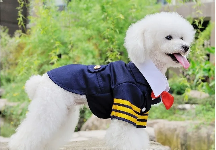 A53_Fashion_Pet_dog_Tailored_Blue_Navy_Uniform_With_Bow_Tie_Trim_For_Pet_Dog_Boy_Cheap_dog_Garments_Supplies_ (3)