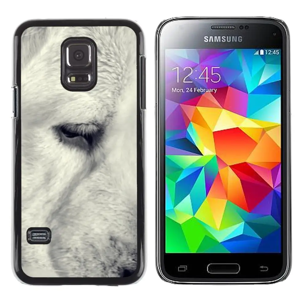 Snap On Hard PC Back Shell Case For Samsung Galaxy S5 Mini SM-G800 -Black White Retriever Muzzle Snout Dog(S5MINI-3005642) |