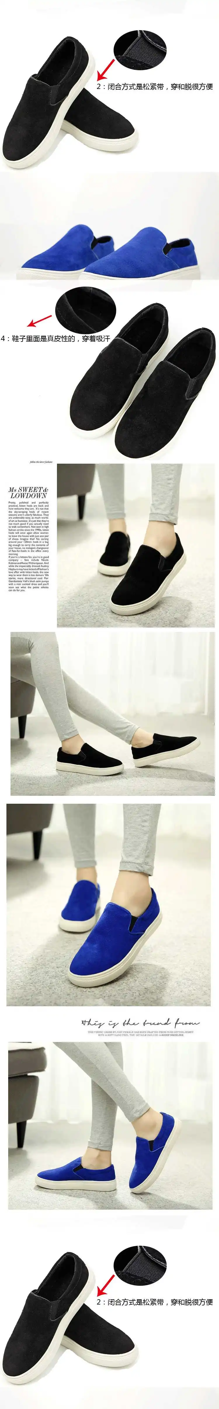 S3446(100000)