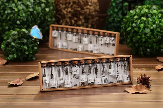 1955190524_1159440446