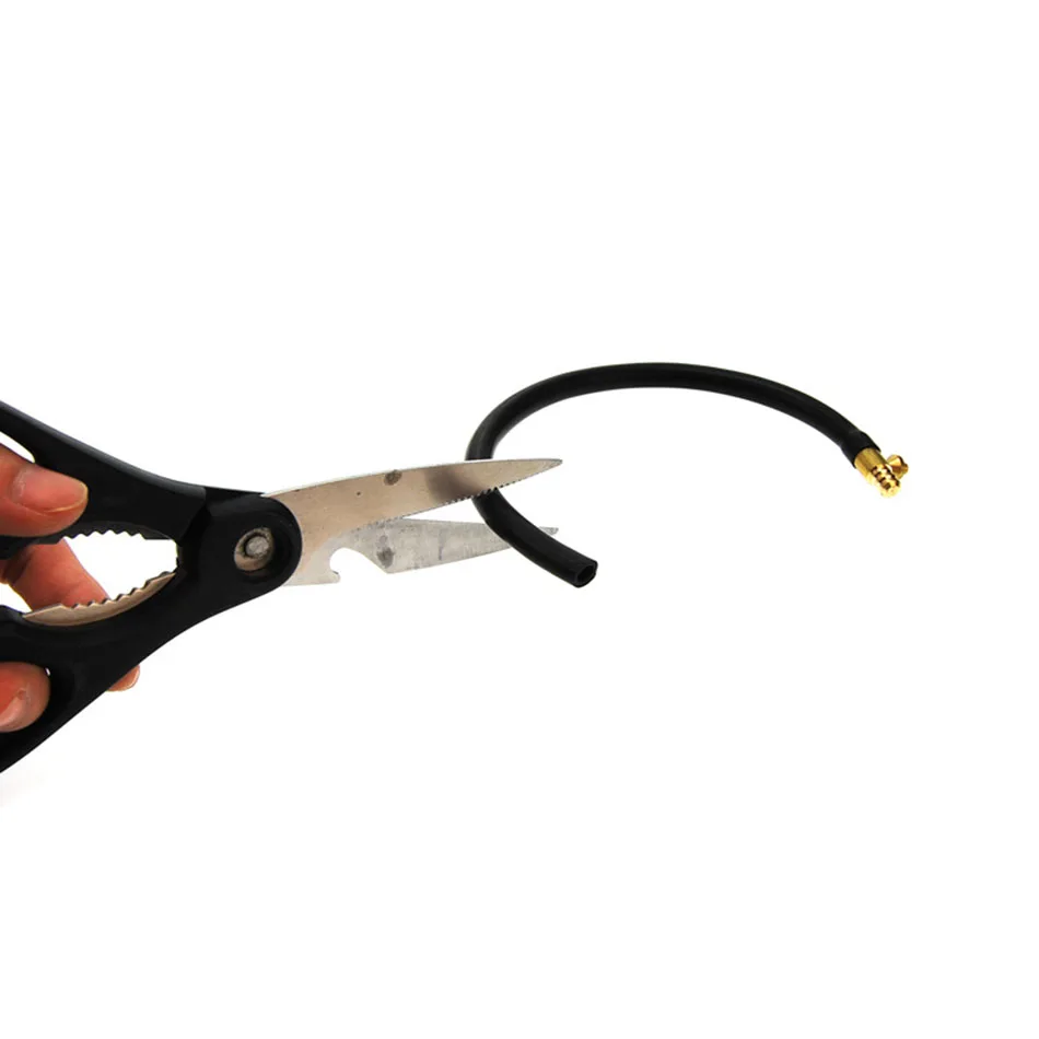 1787415353_279567083