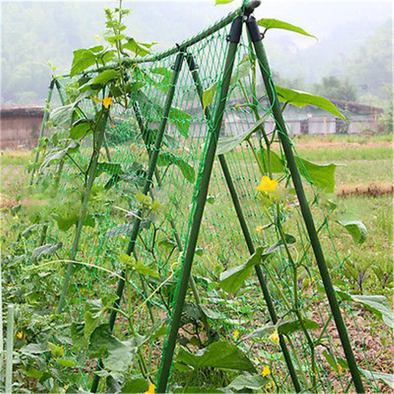 Садовые зеленые нейлоновые шпалеры поддержка для плетения скалолазания фасоли сетки для растений забор 1,8x1,8 м