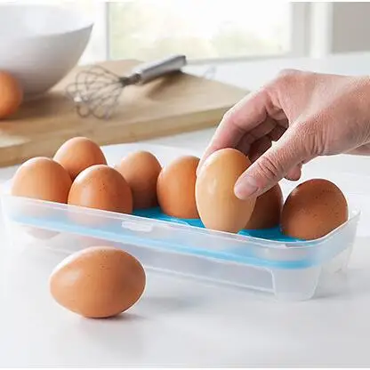 10 Egg Holder Food Storage Bin Box Hamper Portable Egg Container Carrier 