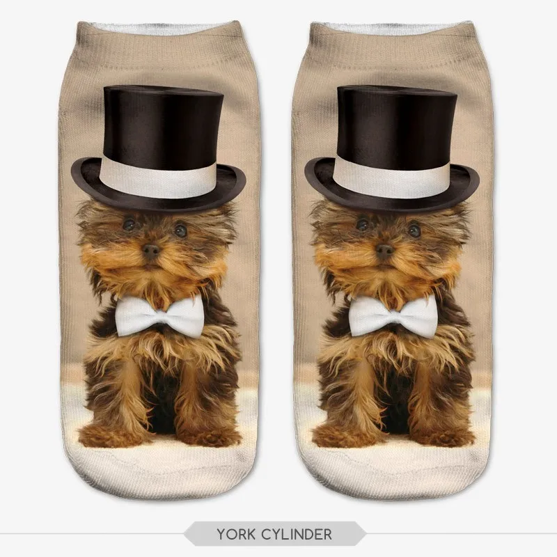 HTB1ovq_HVXXXXXZXpXXq6xXFXXX1