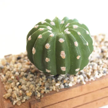 

Realistic Artificial Cactus Succulents Ball Prickly Pears Fake Plants Plastic Craft Landscape For Garden Family Office Decor