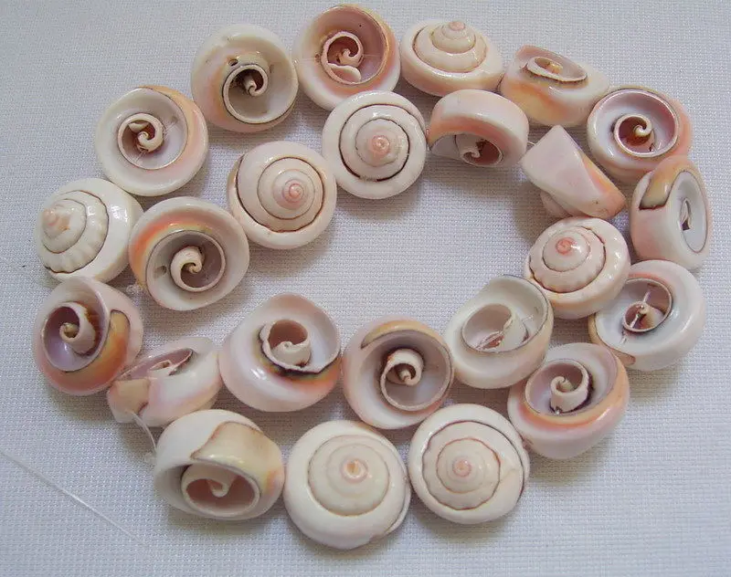 8SE06535a 15mm Spiral Shell Fancy Beads 15.5''in Beads from Jewelry